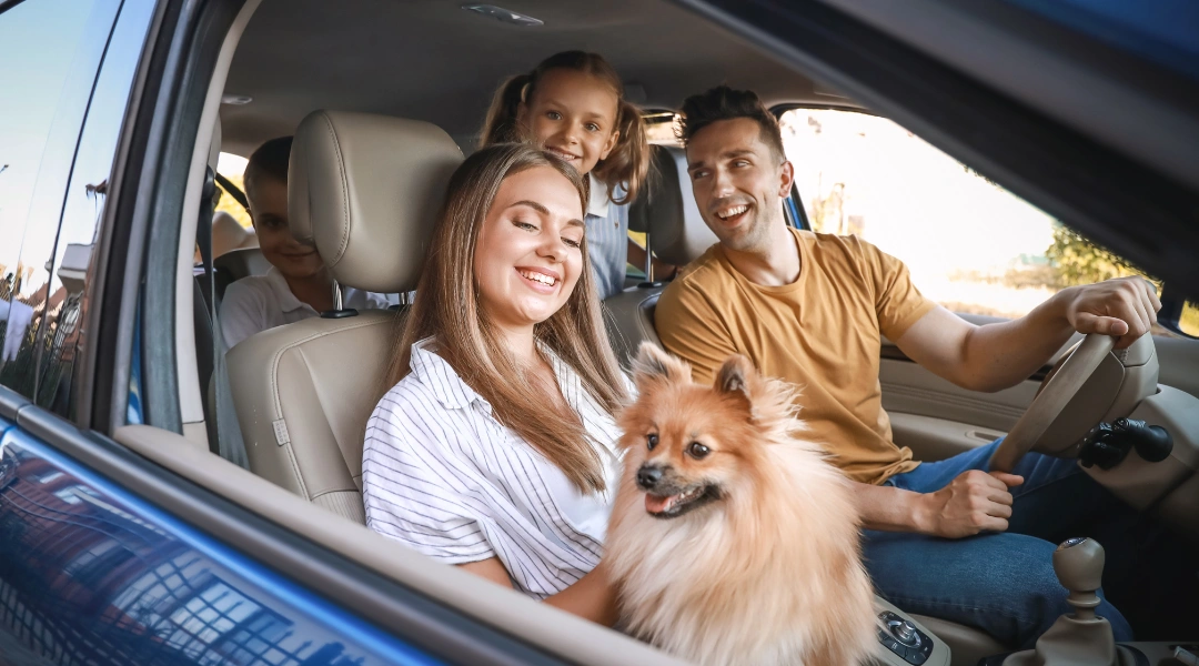 A family sits in a car with their dog smiling and enjoying a road trip together | The Pet Tap